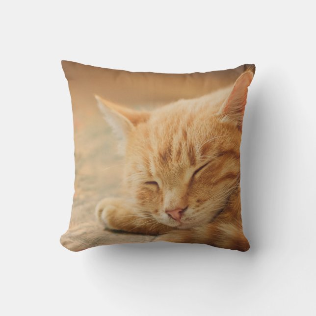 Schlafenorange Tabby-Katze Kissen (Vorderseite)