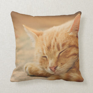 Schlafenorange Tabby-Katze Kissen