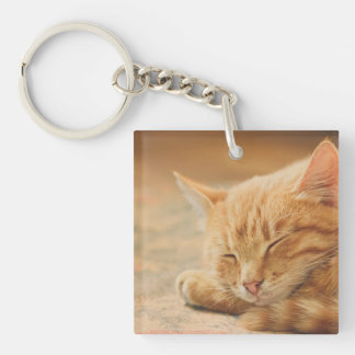 Schlafenorange Tabby-Katze Schlüsselanhänger
