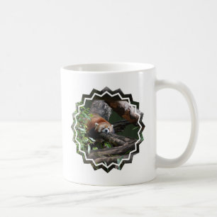 Schlafenpanda-Bärn-Kaffee-Tasse Kaffeetasse