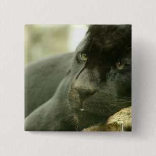 Schlafenpanther-Button Button