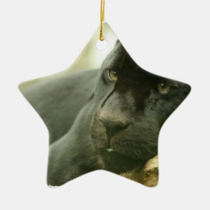 Schlafenpanther-Verzierung Keramik Ornament