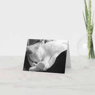 Schlafenquietschen Karte