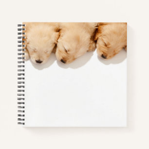 Schläfenreihe Goldene Retriever Welpen Notizbuch