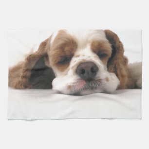 Schlafenrotes/weißes Cocker spaniel Küchentuch