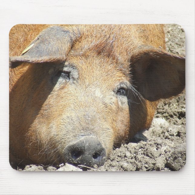 "Schlafenschwein" Mousepad (Vorne)