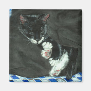 SchlafenSmokings-Katzen-Magnet Magnet