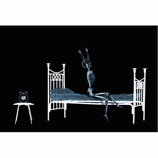 Schlafenszeit-Röntgenstrahl-Skeleton schwarzes Freistehende Fotoskulptur (Vorne)