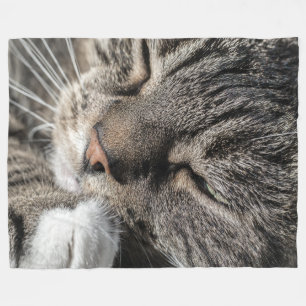 Schlafentabby-Katze Fleecedecke