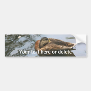 Schlafente Ente Natur Personalisiert Autoaufkleber