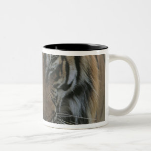 Schlafentiger Zweifarbige Tasse