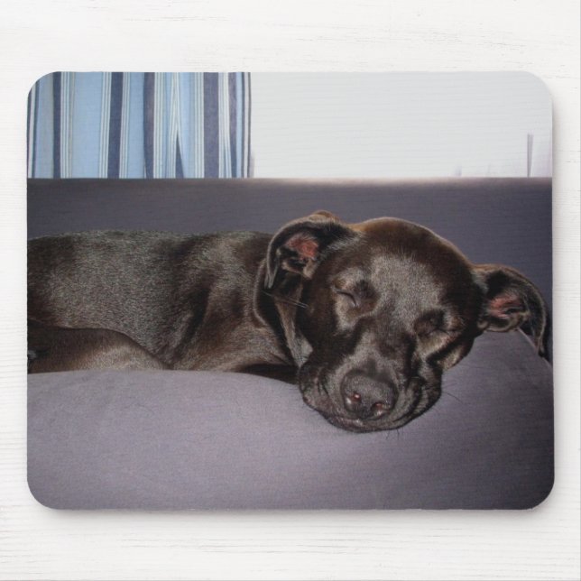 Schlafenwelpe Mousepad (Vorne)