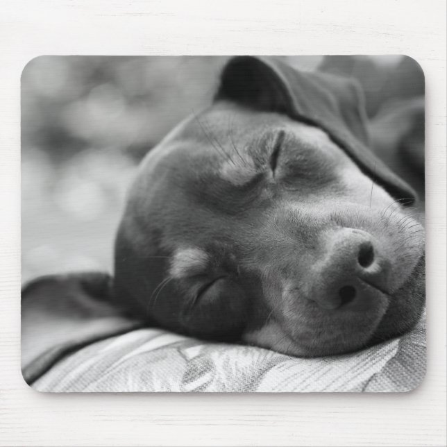 SchlafenZwergpinscherhund Mousepad (Vorne)
