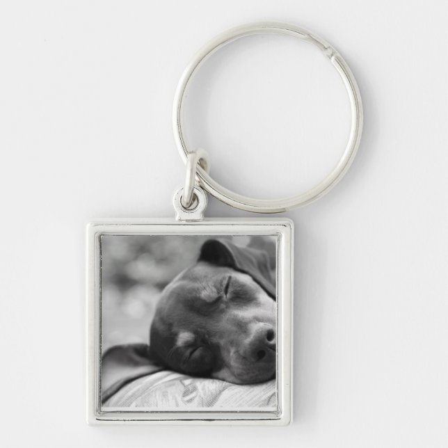 SchlafenZwergpinscherhund Schlüsselanhänger (Vorne)