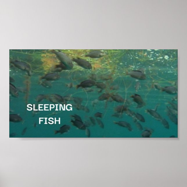 Schlaffisch-Poster Poster (Vorne)