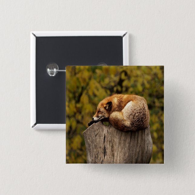 Schlaffuchs-Foto Button (Vorne & Hinten)