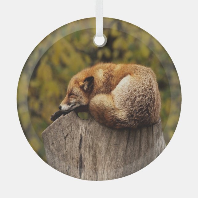 Schlaffuchs-Foto Ornament Aus Glas (Vorderseite)