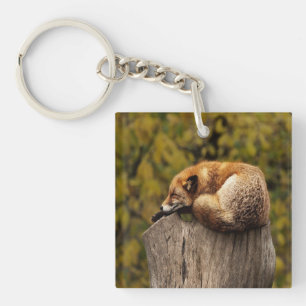 Schlaffuchs-Foto Schlüsselanhänger