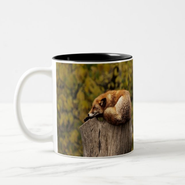 Schlaffuchs-Foto Zweifarbige Tasse (Links)