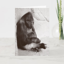 SchlafGorilla-Fotografie Karte