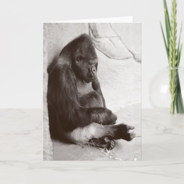 SchlafGorilla-Fotografie Karte (Vorderseite)