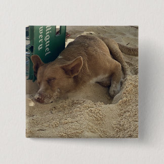 Schlafhund Button