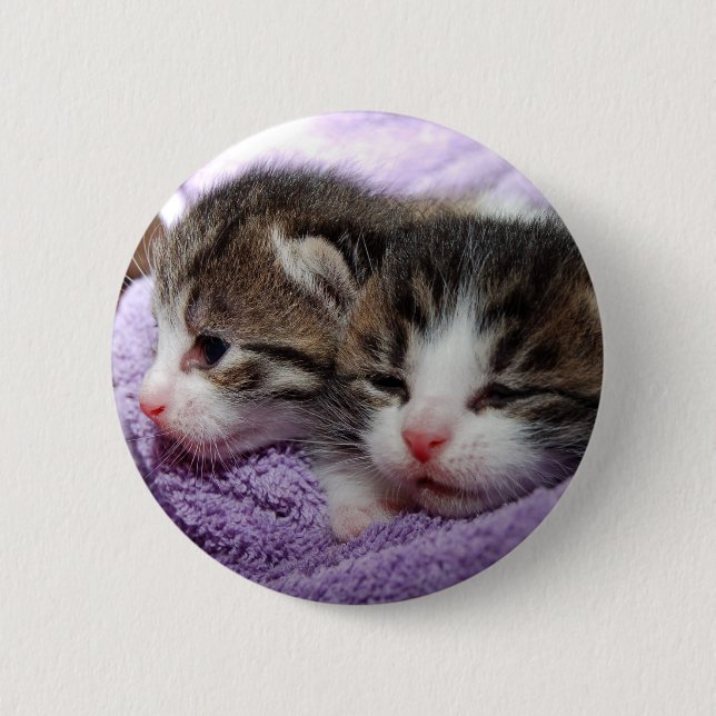 Schlafkätzchen Button (Vorderseite)