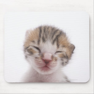 Schlafkätzchen Mousepad