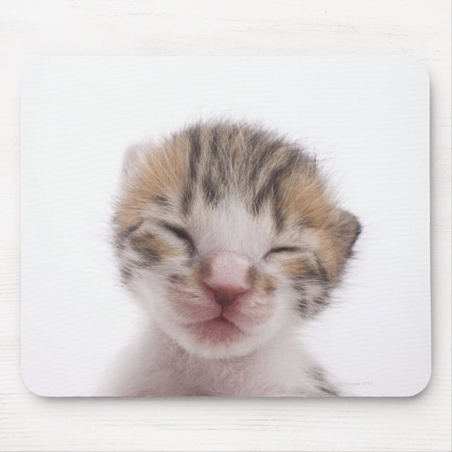 Schlafkätzchen Mousepad (Vorne)