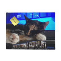 Schlafkatze