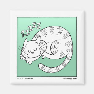 Schlafkatze Magnet
