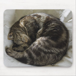 Schlafkatze Mousepad