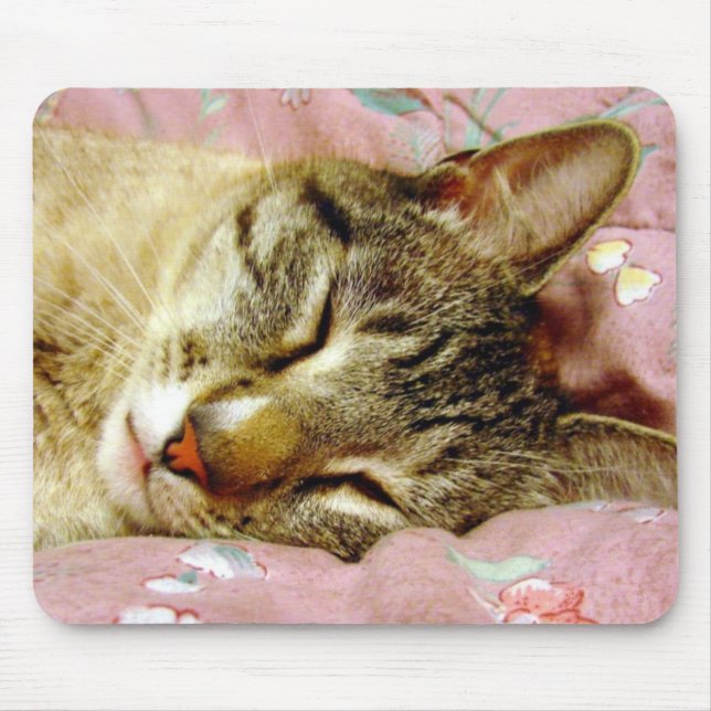 Schlafkatze Mousepad (Vorne)