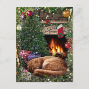 Schlafkatze neben dem Kamin zu Weihnachten