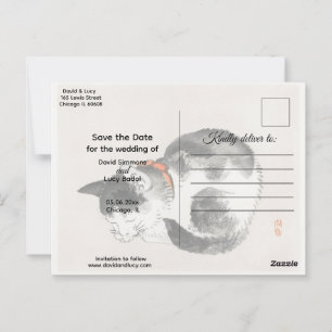 Schlafkatze Postkarte
