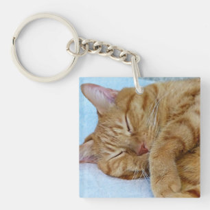 Schlafkatze Schlüsselanhänger