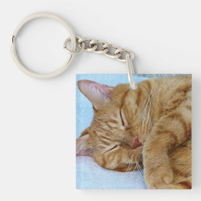 Schlafkatze Schlüsselanhänger (Vorderseite)