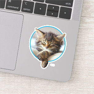 Schlafkitte Aufkleber