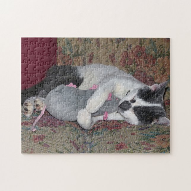 Schlafkitten (Horizontal)