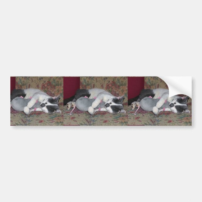 Schlafkitten Autoaufkleber (Vorne)