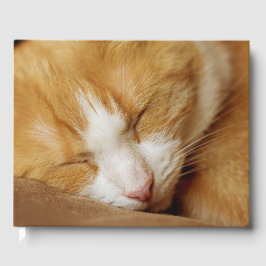 Schlafkitten Gästebuch