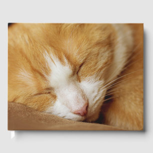 Schlafkitten Gästebuch