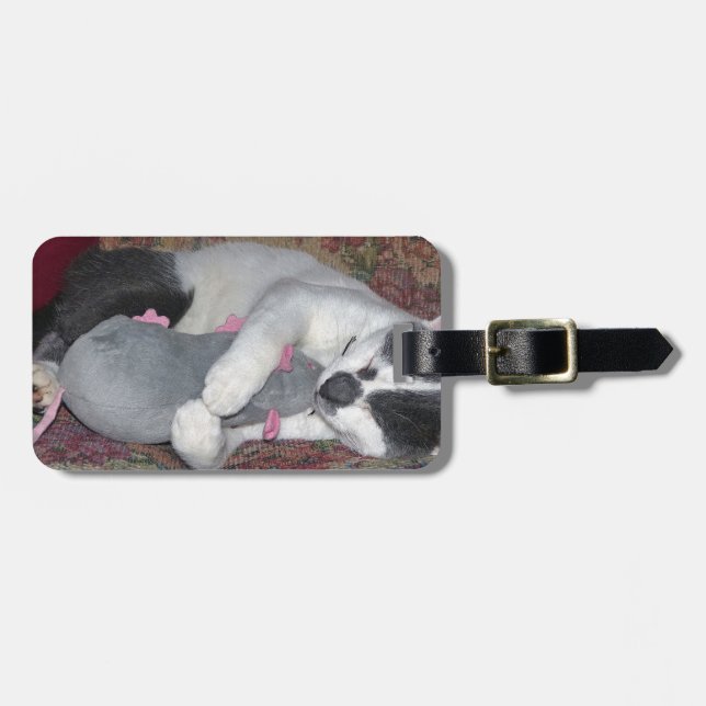 Schlafkitten Gepäckanhänger (Vorderseite horizontal)