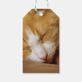 Schlafkitten Geschenkanhänger