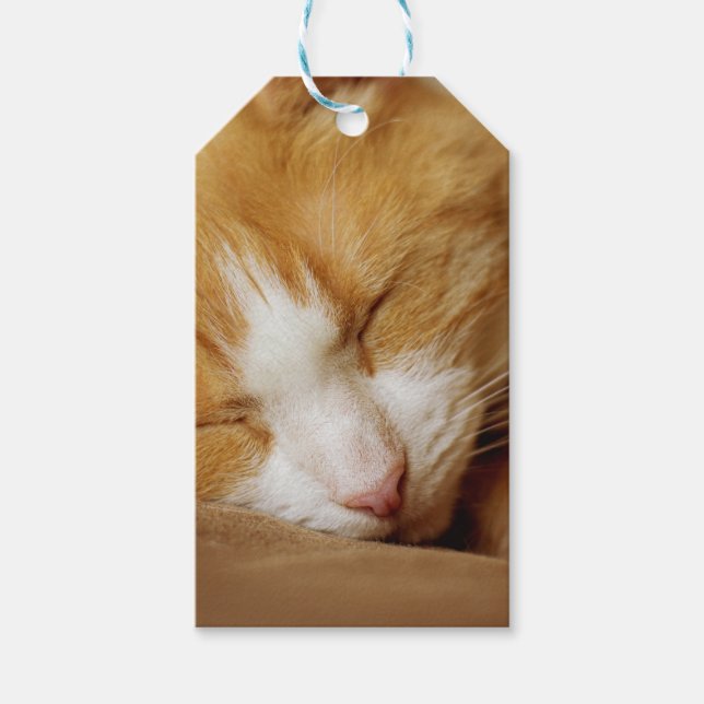 Schlafkitten Geschenkanhänger (Vorderseite)