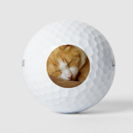Schlafkitten Golfball