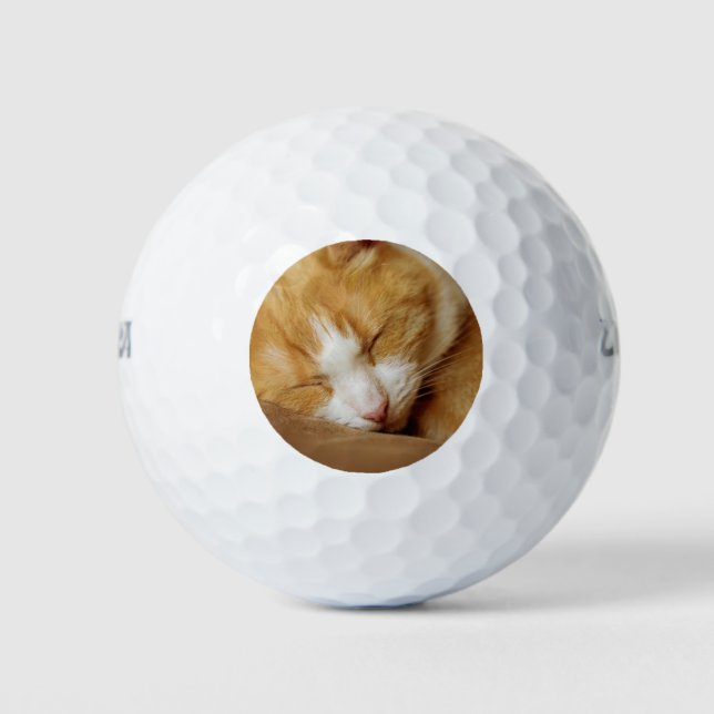 Schlafkitten Golfball (Vorderseite)