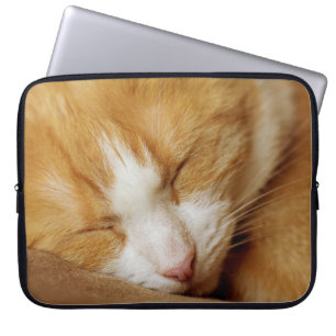 Schlafkitten Laptopschutzhülle