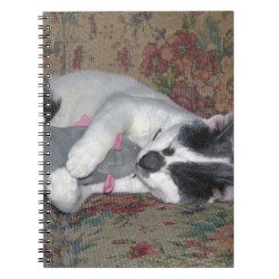 Schlafkitten Notizblock