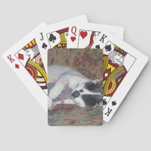 Schlafkitten Spielkarten